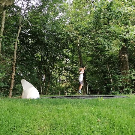 5Sterne Ferienwohnung Im Fachwerk Mit Bergblick In Alleinlage Und Grossem Garten, Infrarotkabine Humberg 外观 照片