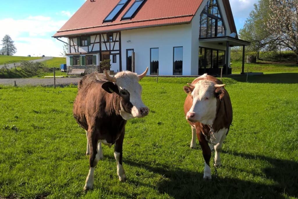5Sterne Ferienwohnung Im Fachwerk Mit Bergblick In Alleinlage Und Grossem Garten, Infrarotkabine Humberg 外观 照片