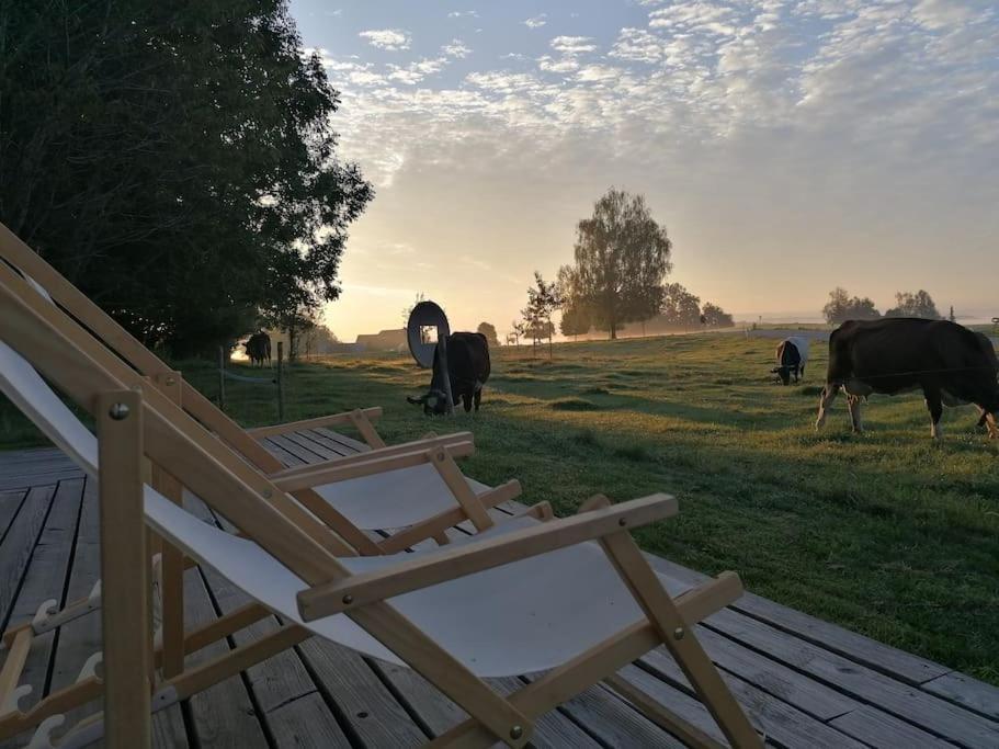 5Sterne Ferienwohnung Im Fachwerk Mit Bergblick In Alleinlage Und Grossem Garten, Infrarotkabine Humberg 外观 照片