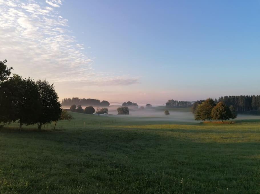 5Sterne Ferienwohnung Im Fachwerk Mit Bergblick In Alleinlage Und Grossem Garten, Infrarotkabine Humberg 外观 照片