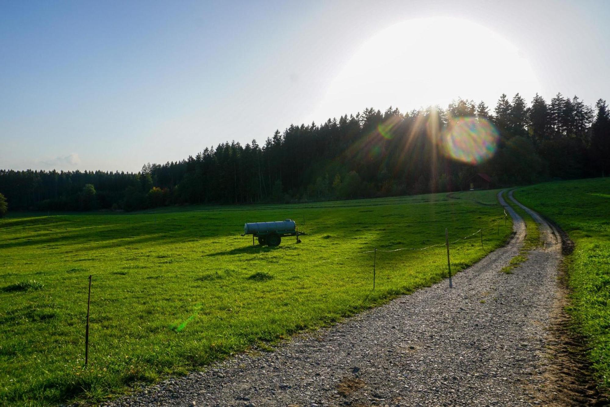 5Sterne Ferienwohnung Im Fachwerk Mit Bergblick In Alleinlage Und Grossem Garten, Infrarotkabine Humberg 外观 照片