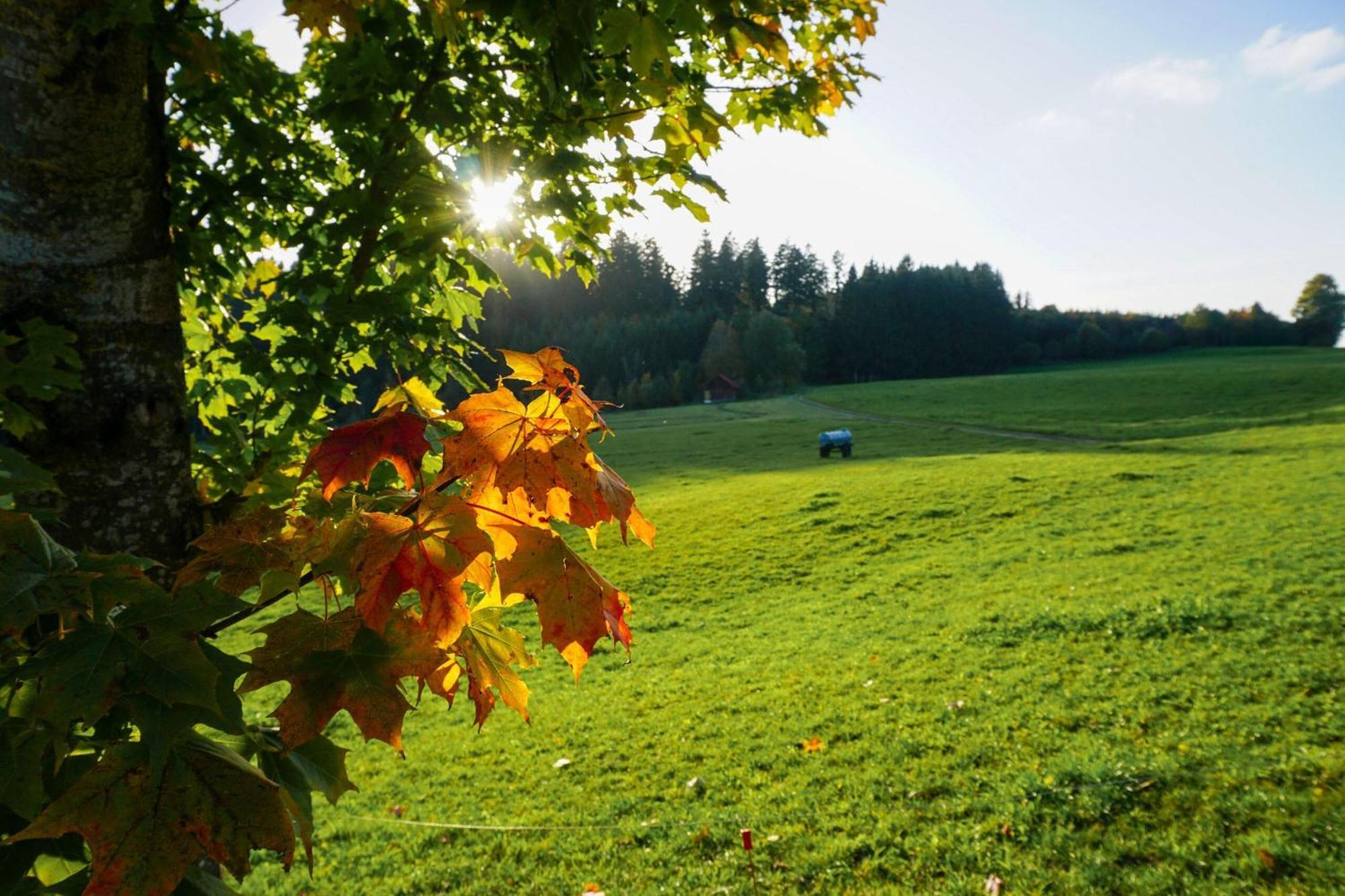 5Sterne Ferienwohnung Im Fachwerk Mit Bergblick In Alleinlage Und Grossem Garten, Infrarotkabine Humberg 外观 照片